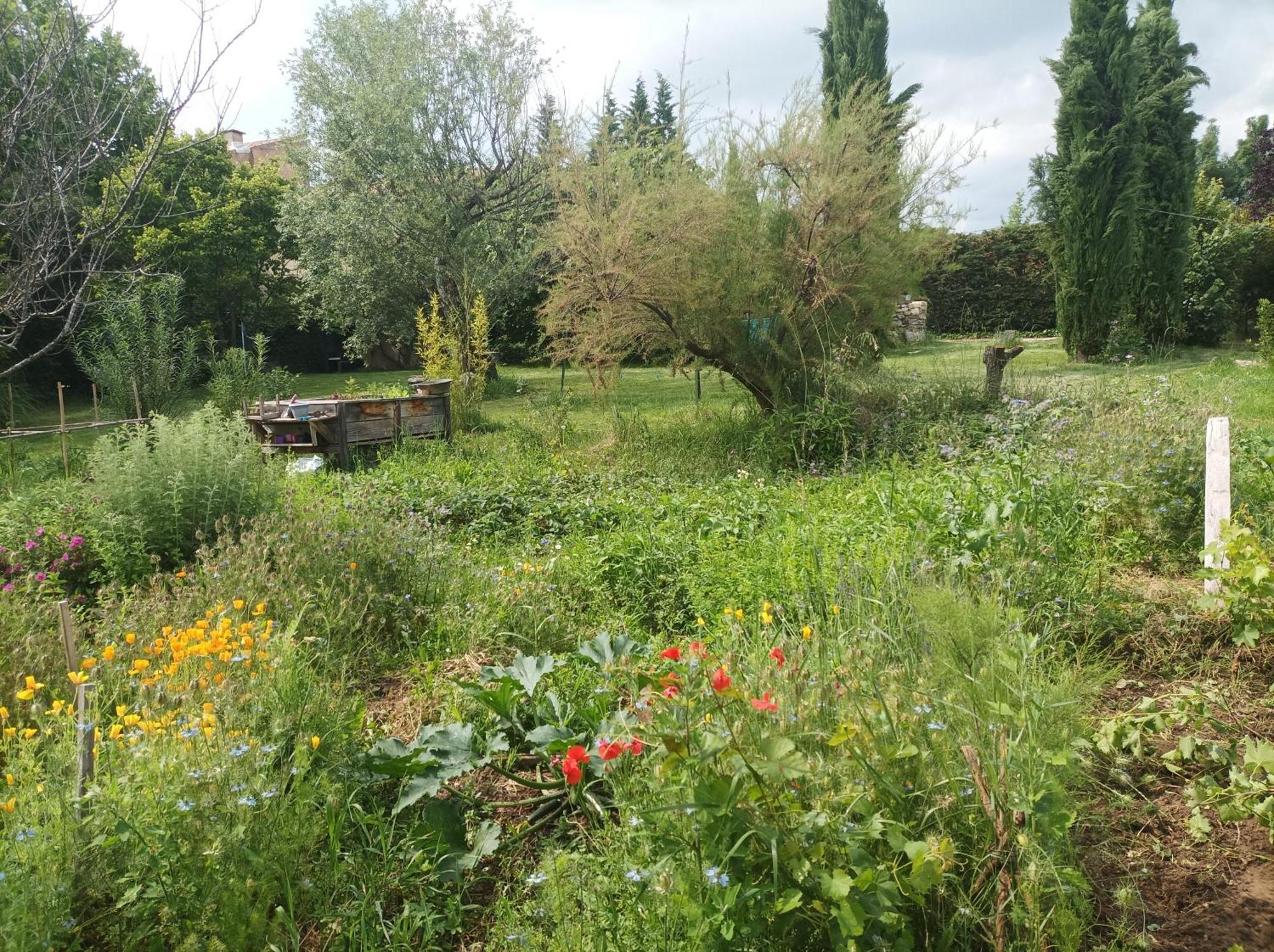 Campagne De Pre Grand Bed & Breakfast Saint-Étienne-les-Orgues Eksteriør bilde
